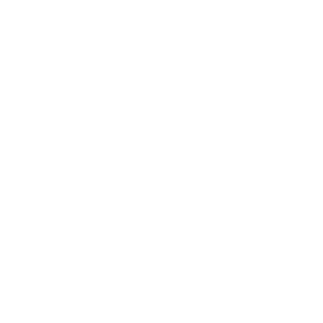 Geico