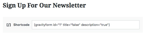 Screenshot of the newsletter sign up code.